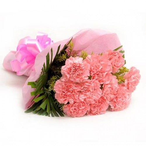 Baby Pink Carnation Bunch